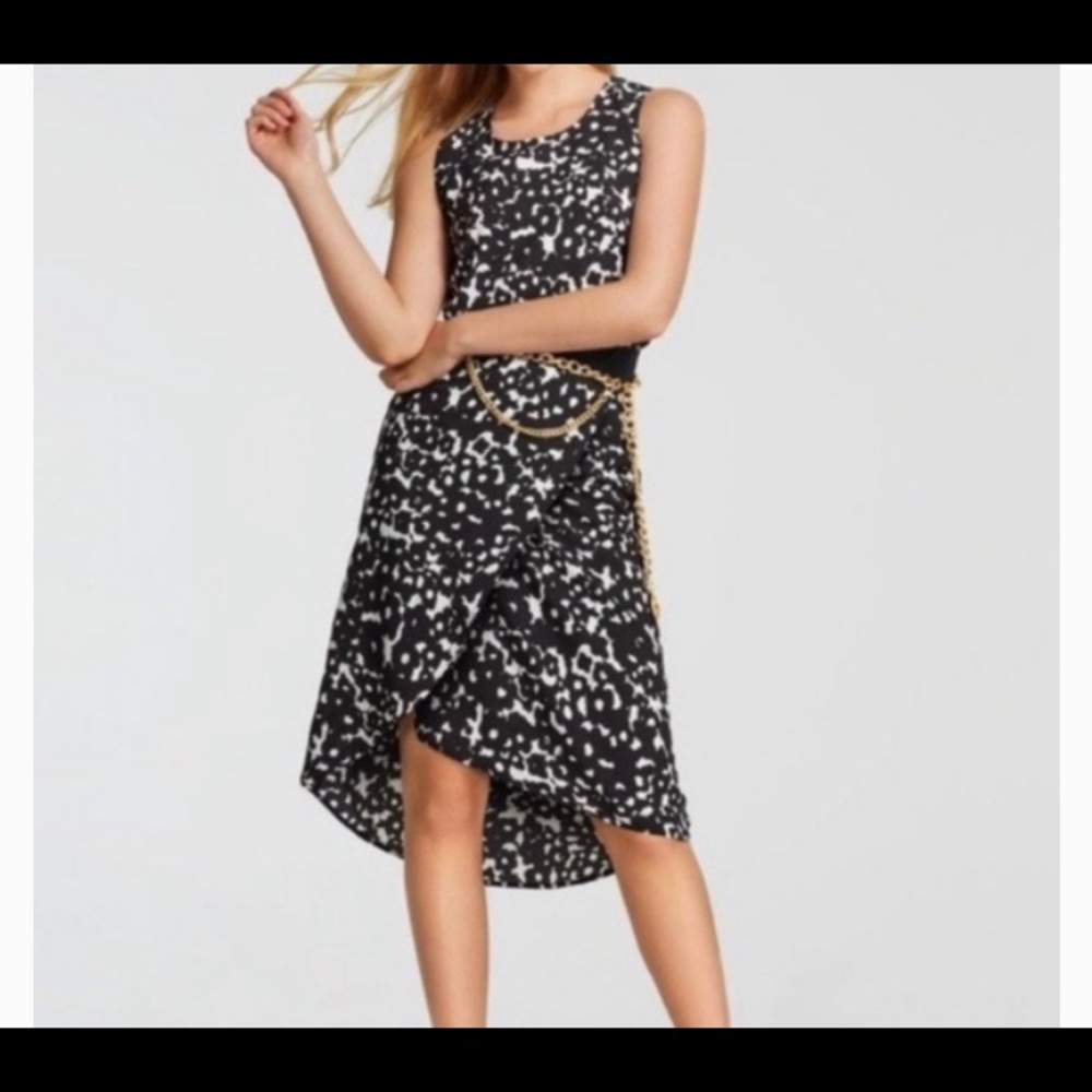 CAbi Spring 2018 Dixon Skirt 5321